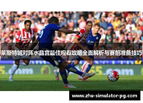 莱斯特城对阵水晶宫最佳观看攻略全面解析与赛前准备技巧 莱斯特城对阵水晶宫最佳观看攻略全面解析与赛前准备技巧