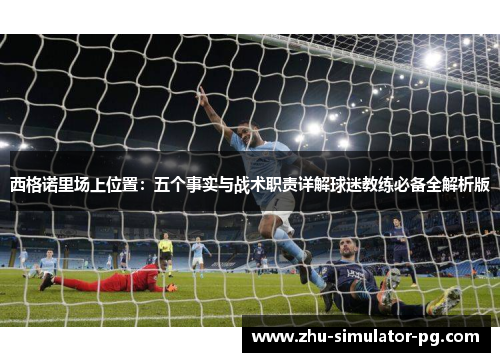 西格诺里场上位置：五个事实与战术职责详解球迷教练必备全解析版