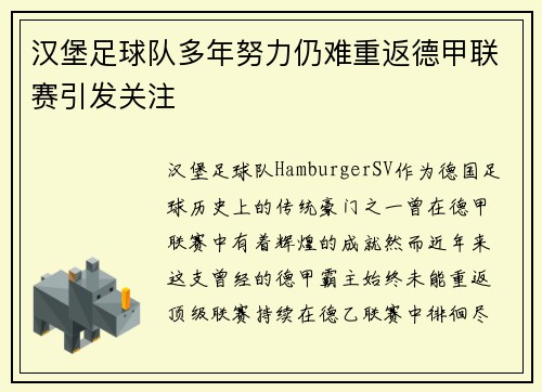 汉堡足球队多年努力仍难重返德甲联赛引发关注 汉堡足球队多年努力仍难重返德甲联赛引发关注